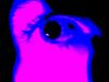JettBlack's Avatar