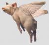Ham's Avatar