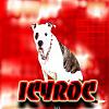 icyroc's Avatar
