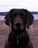 rnaple's Avatar