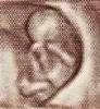 lipa's Avatar