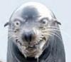 oscillat0r's Avatar