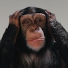 hugol's Avatar