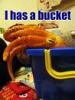 The Bucket's Avatar