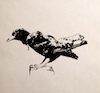 SteveBoker's Avatar